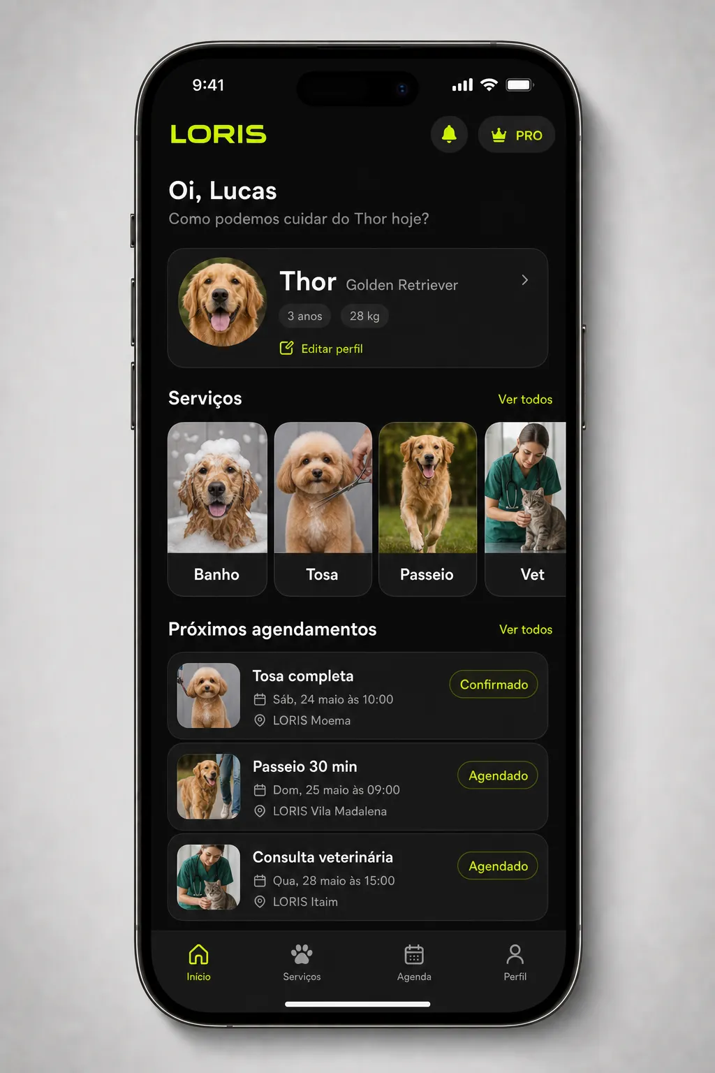 Loris — Pet e servicos